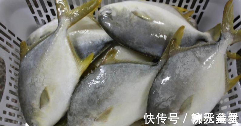 海鱼|市场上这4种鱼要多吃,含钙量高,目前无法人工干预,都是野生鱼!
