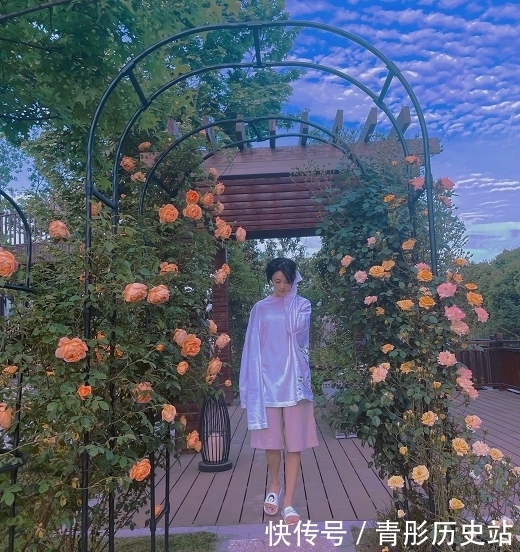 张馨予:“种花侍母”表孝心,母亲节前一天将一园子月季送给妈妈