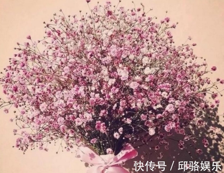 早发白帝城&六首“早安”诗词:风动影动心不动,独自沉香待花开