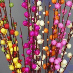 过年一定要养盆银柳，吉祥又喜庆，年味儿十足