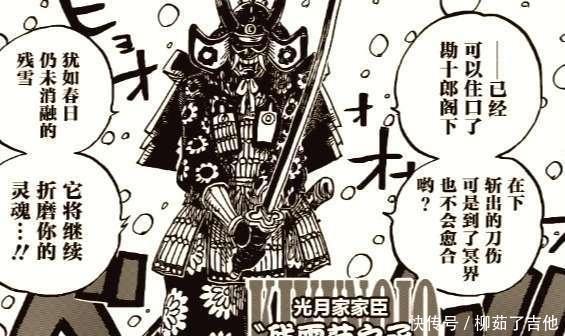 克制|海贼王小菊实力被低估,他的名刀克制动物系能力者!