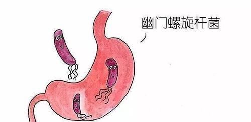 黏膜|养胃“帮手”被发现,没事泡水喝,修复胃黏膜,胃病悄悄溜走