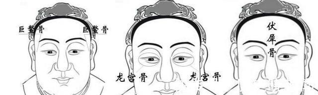 日月角&“头生九龙骨,早晚必显贵”,九龙骨是啥?老祖宗辨人术准吗