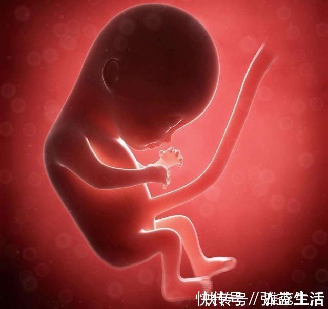 寄生虫|怀孕多吃鱼娃更聪明？三种鱼不建议孕妈吃，否则坑的是肚子里的娃