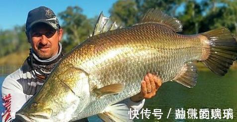 记忆力|这4种鱼平时尽量少吃,或携带甲醛和重金属,看看你吃过吗