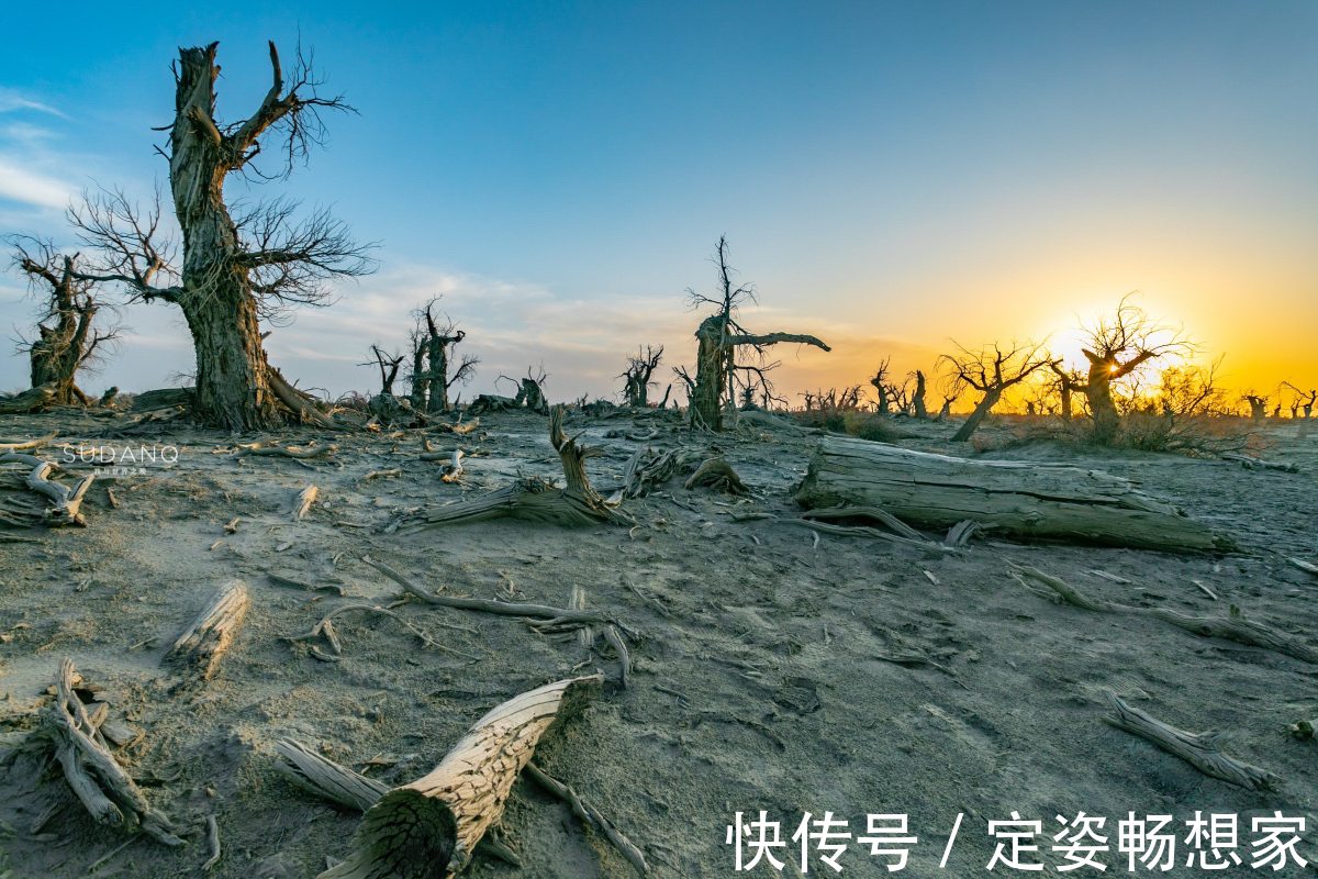 沙漠|神秘的塔克拉玛干沙漠，藏有“生命禁区”，却吸引无数探险者