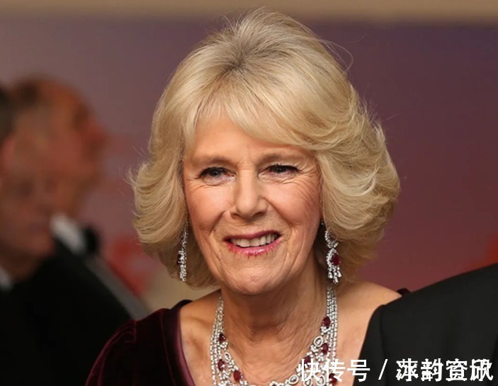 查尔斯 卡米拉的蛇形项链20年前做情人时查尔斯送的,蛇蝎气质一目了然