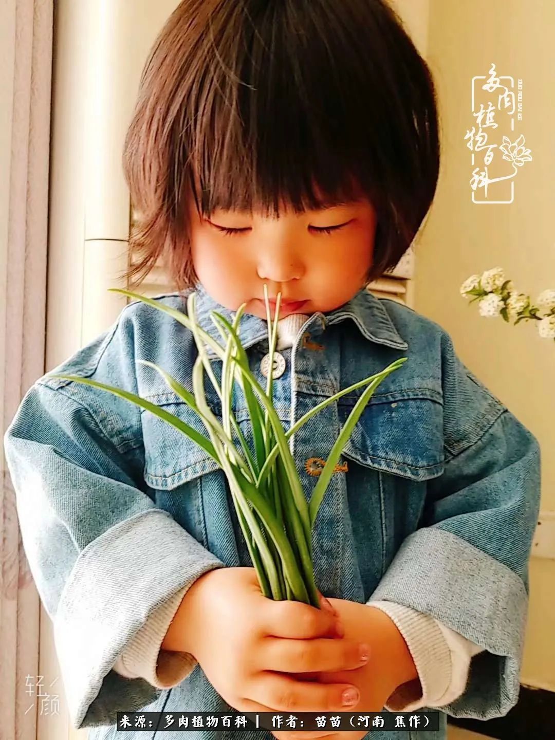 迷上多肉后，有一种喜欢叫一日看三回！