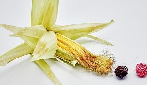 三味中药,是养生人的“长寿药”,泡水当茶喝,养身体,缓衰老