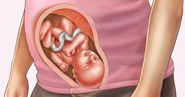 孕妇|怀孕8个月,如果有这6种感觉,说明胎儿很健康,孕妇大可放宽心