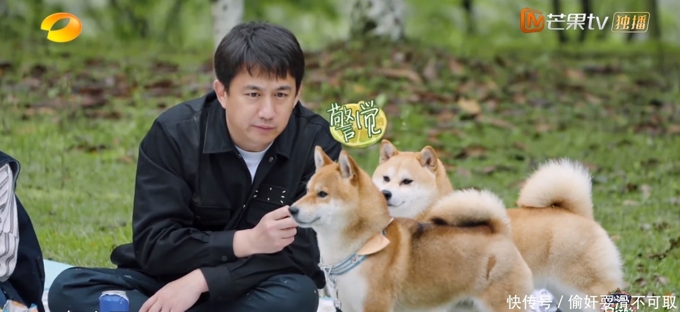 本行|张艺兴录综艺不忘老本行,深夜爬窗练舞,黄磊何炅看了直心疼