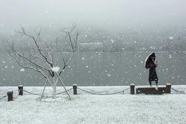 浙江分社|开工第一天杭州这场雪，东北人都说“服气”！