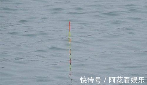 鲫鱼|手竿钓鲫鱼经常跑鱼，可以试着这样调整，让中鱼率飙升几倍