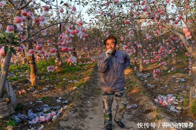 老李|打工和种地哪个挣钱多，看看这一家子就会明白