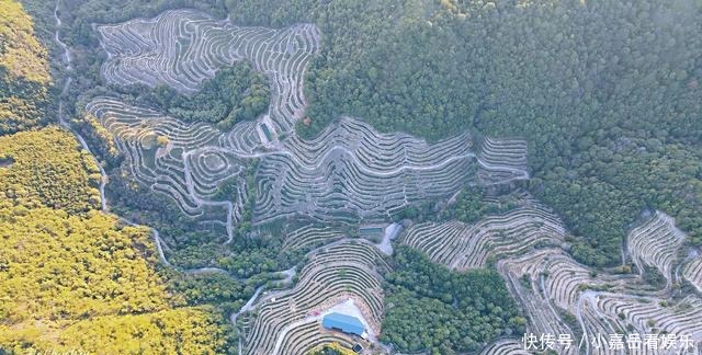 福建生态小镇，山连着山，水连着水，藏着一片世外桃源的茶山