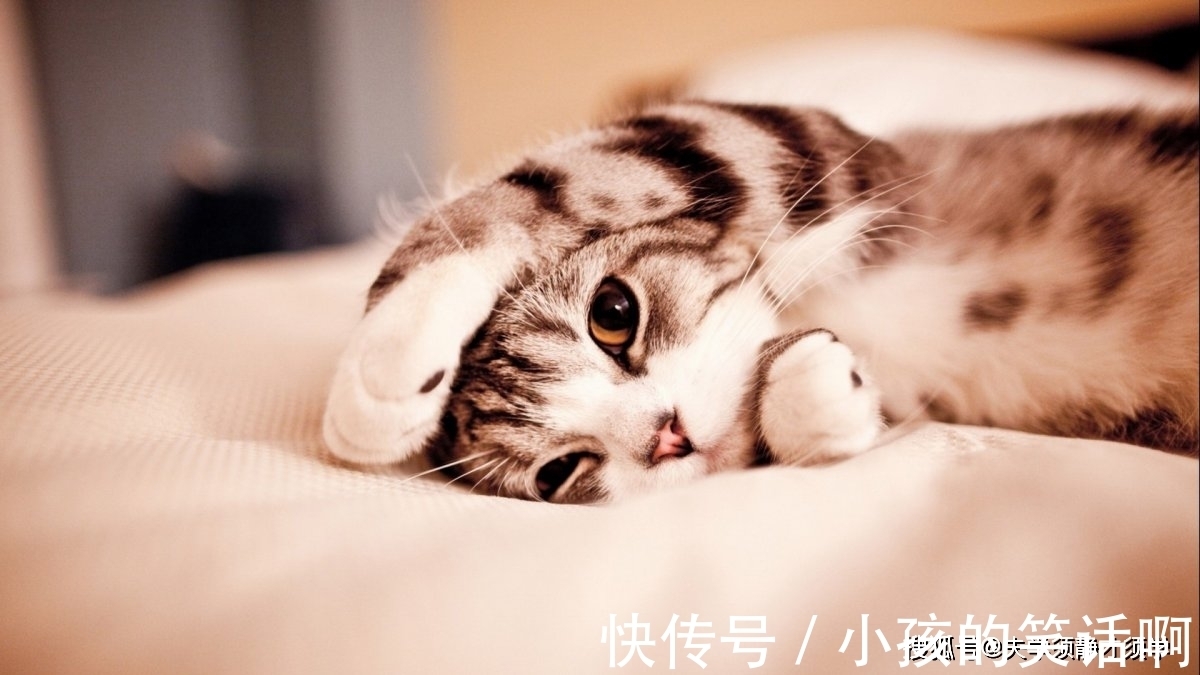 |内涵段子:一对情侣因小事闹别扭,男的回家后,立即写了一封信!