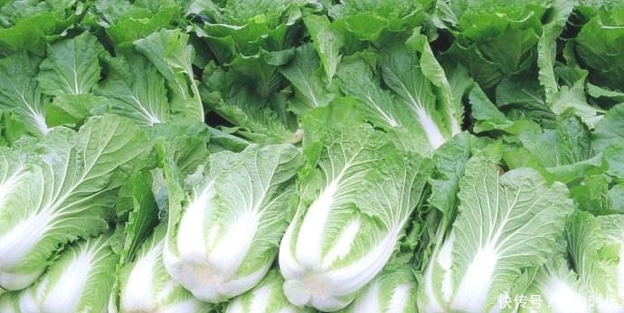 小肚子鼓鼓?常吃此菜,促进消化不便秘,皮肤