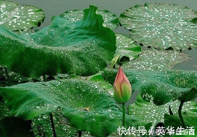 脾胃|冬季手脚冰凉、上热下寒、特别怕冷那是你的阳气跑错地方了!