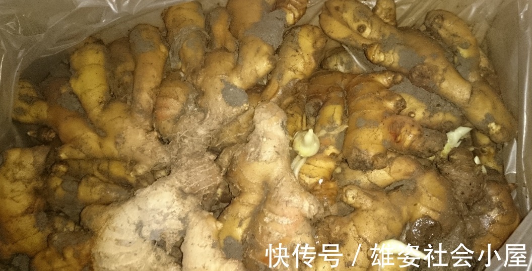 专家|肝不好的人是大蒜吃多了？专家：想养肝的人，2种食物尽量少吃！