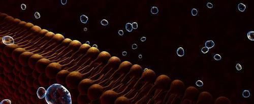 血管堵塞|大学教授：不想血管堵塞，做好这1点，血脂'蹭蹭'下降，远离血栓