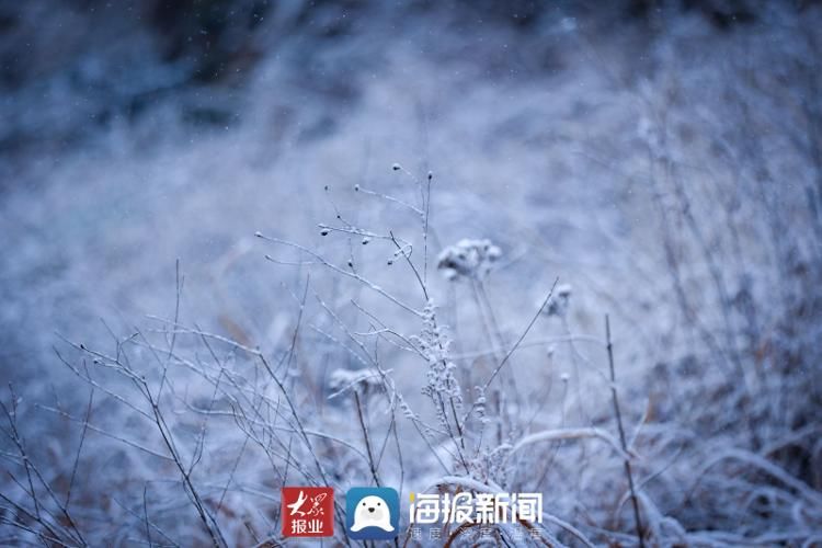 仙境|山东日照：玉树琼枝，银装素裹 雪中大青山开启仙境模式