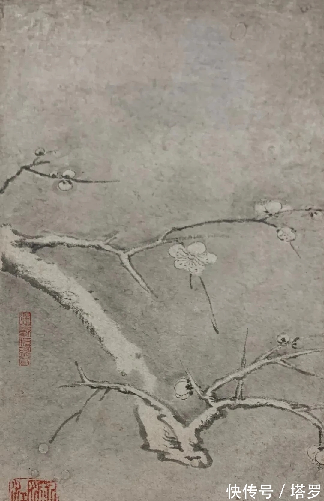 冰心!他的山水画面貌来源于铁骨冰心的梅花|渐江画梅