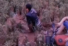 |搞笑车祸Gif:大难临头各自飞!这车头不讲义气啊