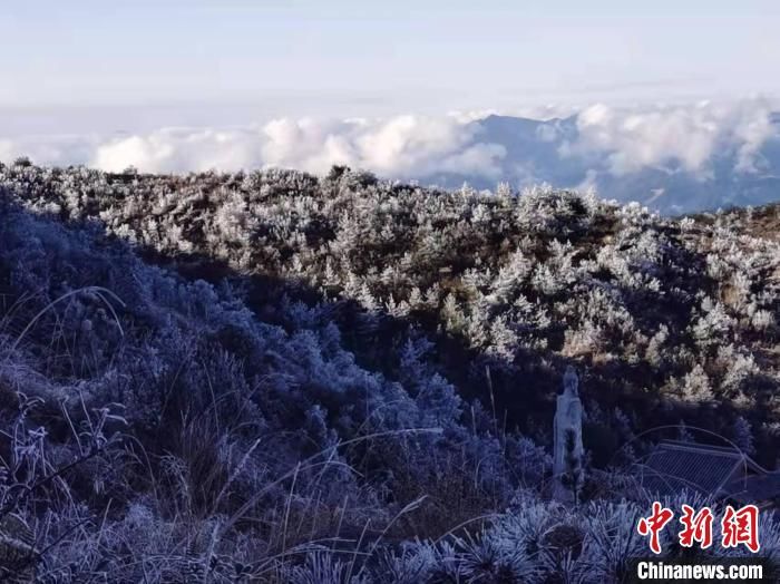 何家进|福建宁德世界地质公园迎来今年首场雾凇