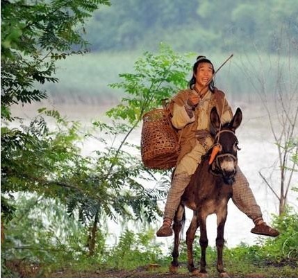  骡子|农村老人常说“马骑前，驴骑后，骡子骑当中”，有什么道理