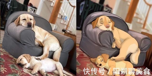 宠物照|迪士尼化宠物照,画家笔下的小家伙们就像是动画片中的角色一样