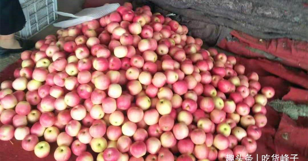 大枣|出伏啦！老妈叮嘱我：再节约也要多吃4果，喝3汤，谨防秋老虎伤人