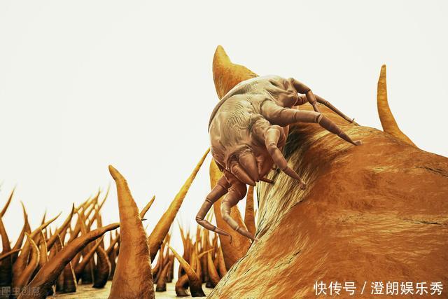 除螨|你可能已被“寄生虫”包围,有的在你脸上打洞,还有的住在毛囊里