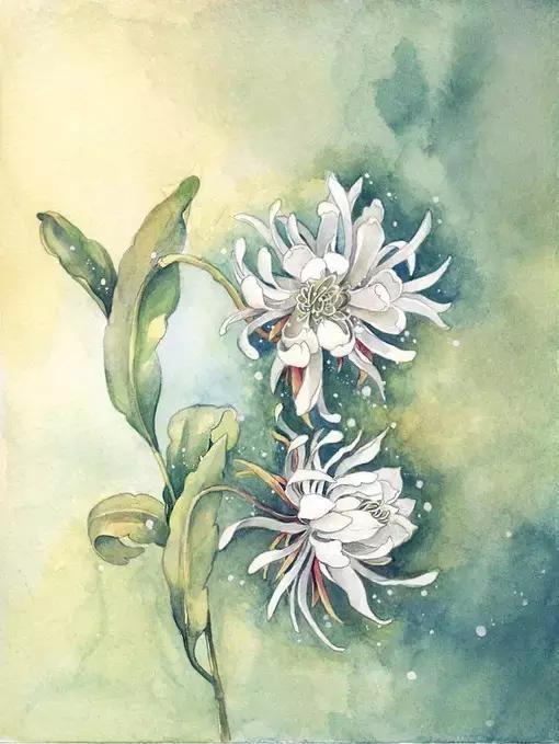 万俟咏|十首《长相思》, 诉尽心中未了情