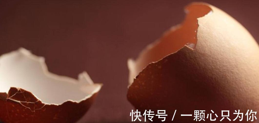 养花老大爷有妙招,绿萝盆里放了啥宝贝,冬天也能绿油油爬满墙