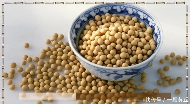 豆中含有丰富|秋天的4种豆,健脾养胃滋阴补肾,进来看看不会吃亏的
