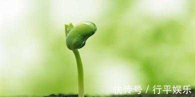 方子|最养“精”的方子来了,老中医不外传的送子观音方,只说一遍