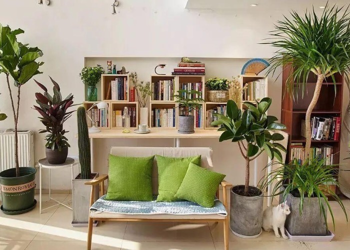 房地产|房产证将“如同摆设”70年产权到期房子归谁所有国家给出结果