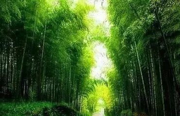 晾衣杠|什么叫价值?(深度好文)