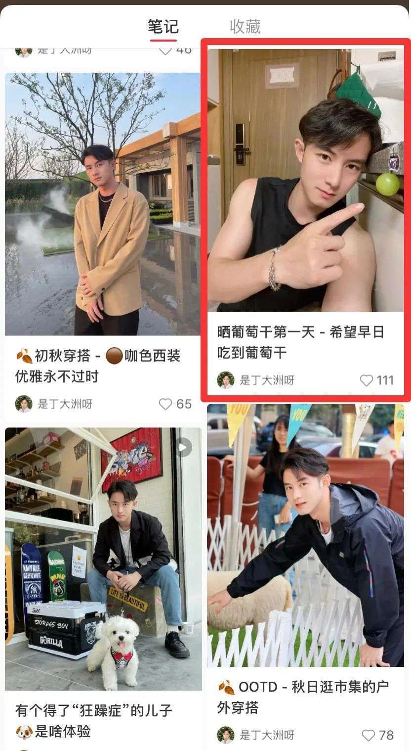 笔记|靠晒葡萄涨粉近4万，小红书莫名其妙的风口来了，要跟吗？