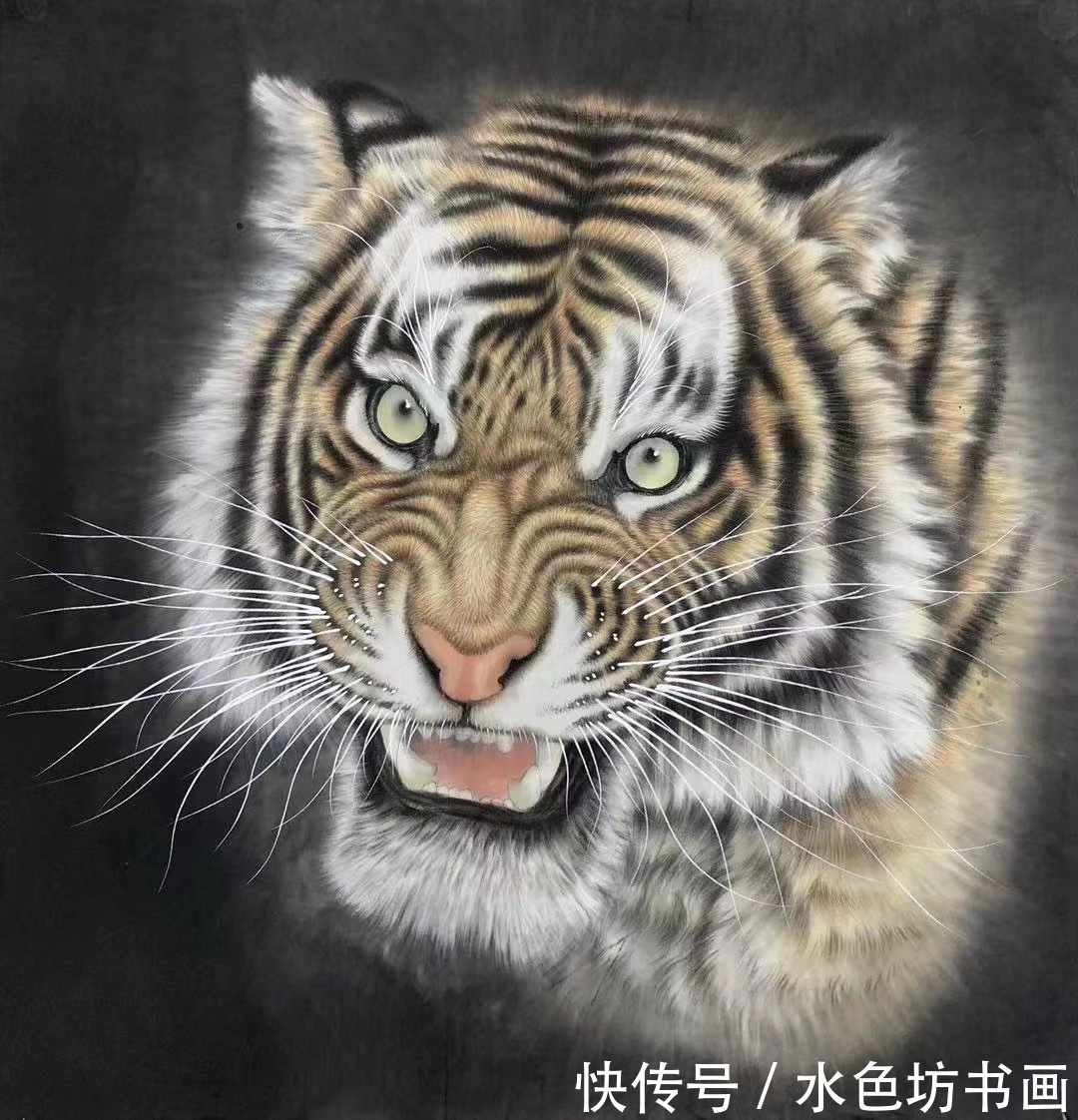 画家专栏 │王建辉——虎卧中堂万事吉祥