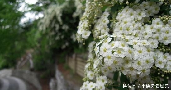 大唐|阳春三月,春回大地,三月赏花好去处