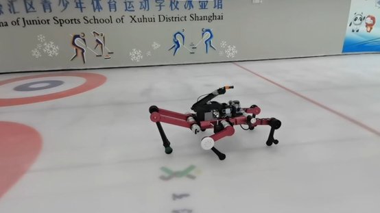 投壶|上海交大六足冰壶机器人“选手”亮相冬奥会