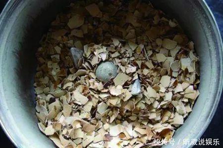 4种垃圾不会分类别担心,埋在花盆底,叶子绿得直滴油!