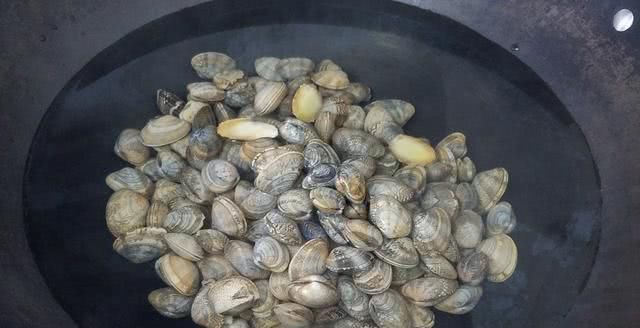 花甲炒鸡肉,好吃又下饭的一道家常菜,做法简单,我家常做