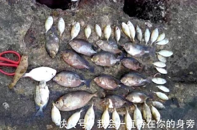 渔获|真气人野河打了重窝钓鱼，刚开始连杆别人把竿子抛进你窝里