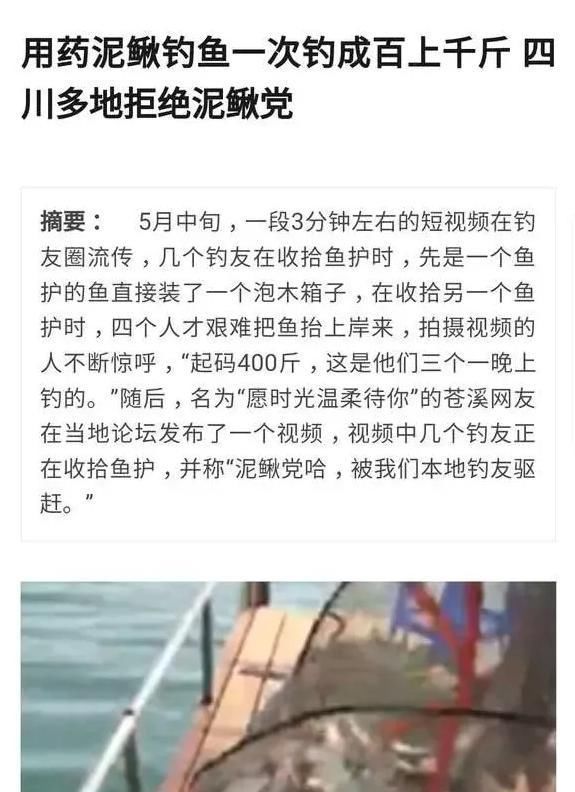 垂钓|一夜钓几百斤翘嘴!泥鳅钓法再引骂战,有人支持有人怒骂