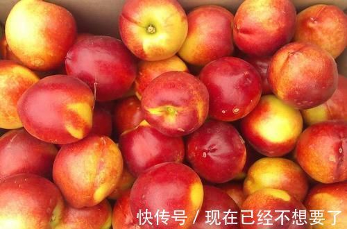 维生素c|好吃又营养的食物,可以常吃,健胃益脾,排毒消脂,提高免疫力