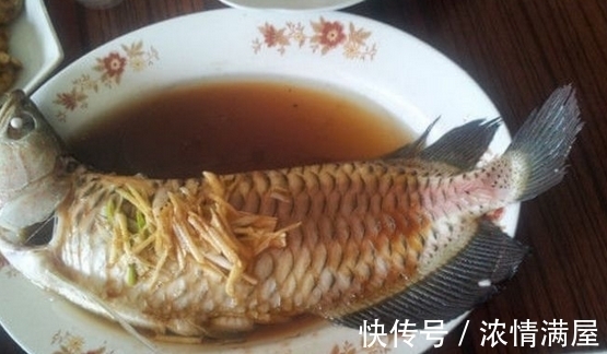 回家|男子花1万元买金龙鱼,回家鱼不见了!得知真相却蒙了!