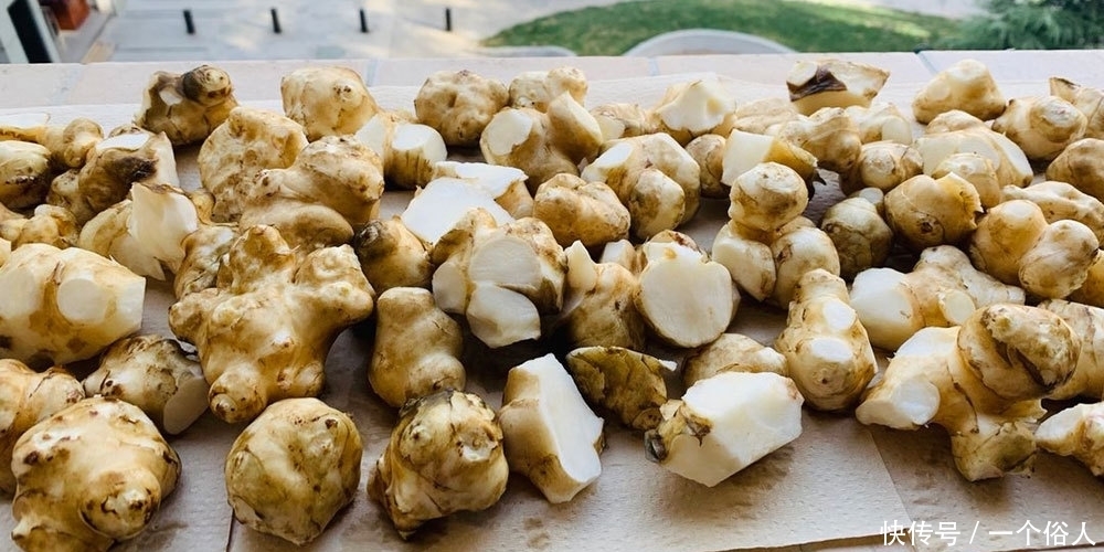 深秋|深秋是腌菜的季节,教你用老方法腌鬼子姜,比腌萝卜香多了