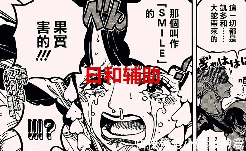 马尔科|海贼王1027话:索隆的战斗变得又臭又长,辅助他的人又会是谁呢?